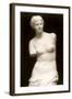 Venus de Milo-null-Framed Art Print