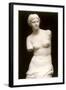 Venus de Milo-null-Framed Art Print