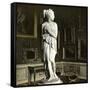 Venus Emerging from Her Bath-Leon, Levy et Fils-Framed Stretched Canvas