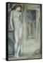 Venus Epithalamia, 1871-Edward Burne-Jones-Framed Stretched Canvas