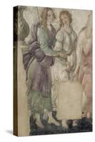 Vénus et les Grâces offrant des présents à une jeune fille-Sandro Botticelli-Stretched Canvas