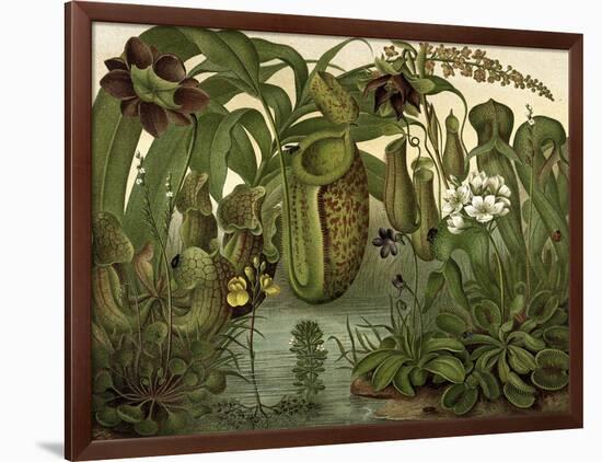 Venus Fly Trap-null-Framed Art Print