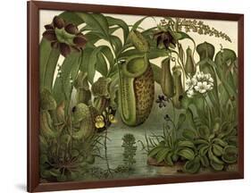 Venus Fly Trap-null-Framed Art Print