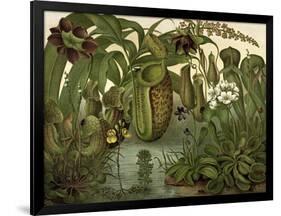 Venus Fly Trap-null-Framed Art Print