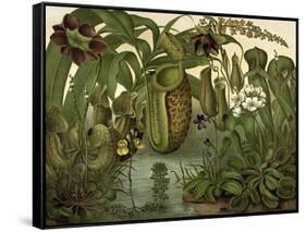 Venus Fly Trap-null-Framed Stretched Canvas