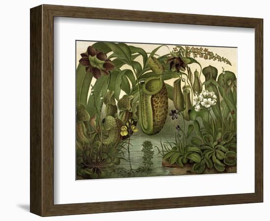 Venus Fly Trap-null-Framed Art Print