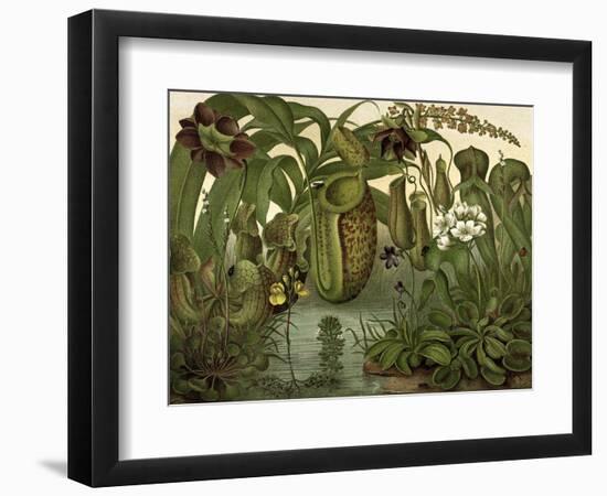 Venus Fly Trap-null-Framed Art Print