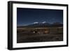 Venus Glows in the Night Sky as Llamas Settle Down to Sleep-Alex Saberi-Framed Premium Photographic Print