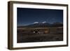 Venus Glows in the Night Sky as Llamas Settle Down to Sleep-Alex Saberi-Framed Photographic Print