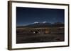 Venus Glows in the Night Sky as Llamas Settle Down to Sleep-Alex Saberi-Framed Photographic Print