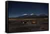 Venus Glows in the Night Sky as Llamas Settle Down to Sleep-Alex Saberi-Framed Stretched Canvas