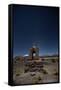 Venus Glows in the Sky at Dusk Above a Grave Marker in Sajama National Park-Alex Saberi-Framed Stretched Canvas