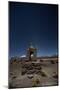 Venus Glows in the Sky at Dusk Above a Grave Marker in Sajama National Park-Alex Saberi-Mounted Premium Photographic Print