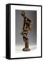 Venus in Bathroom-Giambologna-Framed Stretched Canvas