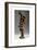 Venus in Bathroom-Giambologna-Framed Giclee Print