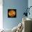 Venus, Magellan Image-null-Framed Stretched Canvas displayed on a wall