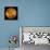 Venus, Magellan Image-null-Framed Stretched Canvas displayed on a wall