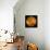 Venus, Magellan Image-null-Framed Stretched Canvas displayed on a wall