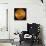 Venus, Magellan Image-null-Stretched Canvas displayed on a wall