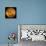Venus, Magellan Image-null-Premium Photographic Print displayed on a wall