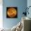 Venus, Magellan Image-null-Framed Photographic Print displayed on a wall