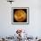 Venus, Magellan Image-null-Framed Photographic Print displayed on a wall