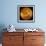 Venus, Magellan Image-null-Framed Photographic Print displayed on a wall