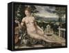 Venus of Cythera, 1561-Jan Massys or Metsys-Framed Stretched Canvas
