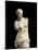 Venus of Milo, 100 BC-null-Mounted Giclee Print