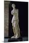 Venus of Milo-null-Mounted Giclee Print