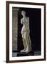 Venus of Milo-null-Framed Giclee Print