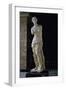 Venus of Milo-null-Framed Giclee Print