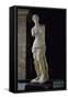 Venus of Milo-null-Framed Stretched Canvas