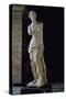 Venus of Milo-null-Stretched Canvas