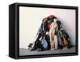 Canvas Black