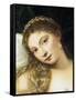 Venus of Urbino, Before 1538-Titian (Tiziano Vecelli)-Framed Stretched Canvas