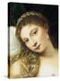 Venus of Urbino, Before 1538-Titian (Tiziano Vecelli)-Stretched Canvas