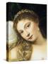 Venus of Urbino, Before 1538-Titian (Tiziano Vecelli)-Stretched Canvas