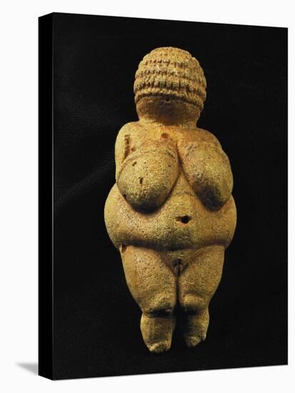 Venus of Willendorf, One of the Many Stone-Age Female Idols of the Great Goddess-null-Stretched Canvas