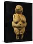 Venus of Willendorf, One of the Many Stone-Age Female Idols of the Great Goddess-null-Stretched Canvas