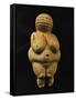 Venus of Willendorf, One of the Many Stone-Age Female Idols of the Great Goddess-null-Framed Stretched Canvas