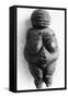 Venus of Willendorf, Stone Age Oolitic Limestone Carving, C24,000-C22,000 BC-null-Framed Stretched Canvas