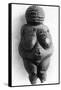 Venus of Willendorf, Stone Age Oolitic Limestone Carving, C24,000-C22,000 BC-null-Framed Stretched Canvas