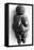 Venus of Willendorf, Stone Age Oolitic Limestone Carving, C24,000-C22,000 BC-null-Framed Stretched Canvas