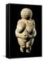 Venus of Willendorf-null-Framed Stretched Canvas