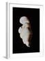 Venus of Willendorf-null-Framed Giclee Print