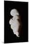 Venus of Willendorf-null-Mounted Giclee Print