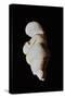 Venus of Willendorf-null-Stretched Canvas