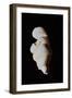 Venus of Willendorf-null-Framed Giclee Print