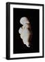 Venus of Willendorf-null-Framed Giclee Print